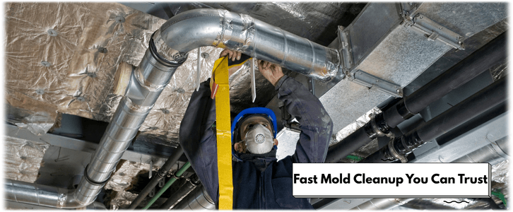 Air Duct Mold Removal in Mesa AZ