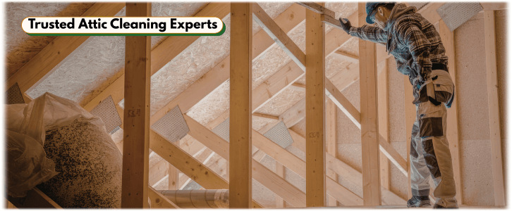 Attic Cleaning Mesa AZ