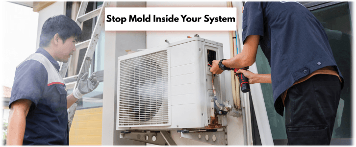 HVAC Mold Removal Mesa AZ